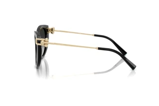 Side view Tiffany TF4232 (80013C)