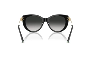 Rear view Tiffany TF4232 (80013C)