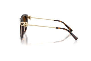 Side view Tiffany TF4232 (80153B)