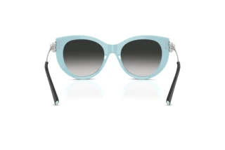 Rear view Tiffany TF4232 (80553C)