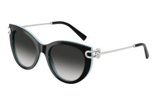 Front view Tiffany TF4232 (80553C)