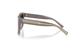 Side view Tiffany TF4235 (84013C)