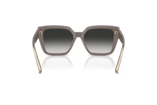 Rear view Tiffany TF4235 (84013C)
