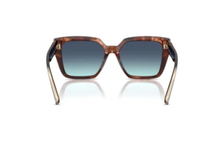 Rear view Tiffany TF4235 (84219S)