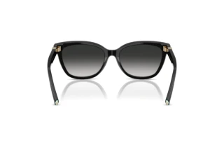 Rear view Tiffany TF4237B (80013C)