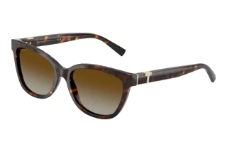 Front view Tiffany TF4237B (8015T5)