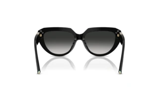Rear view Tiffany TF4238U (80013C)