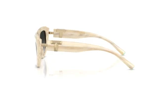 Side view Tiffany TF4238U (84313C)