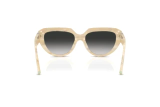 Rear view Tiffany TF4238U (84313C)