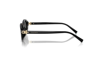 Side view Tiffany TF4242D (8361S4)