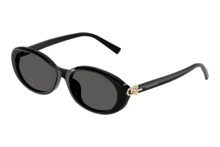 Front view Tiffany TF4242D (8361S4)