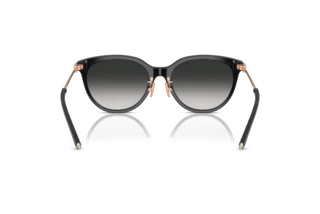 Rear view Tiffany TF4243D (80013C)