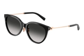Front view Tiffany TF4243D (80013C)