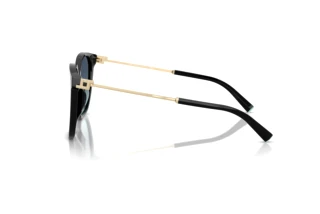 Side view Tiffany TF4244D (80019S)