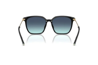 Rear view Tiffany TF4244D (80019S)
