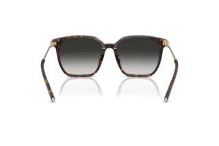 Rear view Tiffany TF4244D (80153C)
