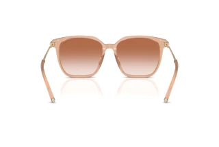 Rear view Tiffany TF4244D (826813)