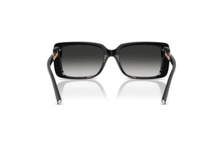 Rear view Tiffany TF4249 (80013C)