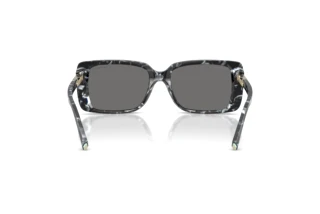 Rear view Tiffany TF4249 (842881)