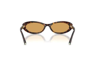 Rear view Tiffany TF4250 (801574)