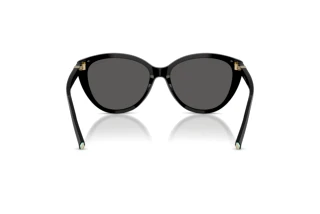 Rear view Tiffany TF4251 (8001S4)