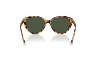 Rear view Tiffany TF4251 (80649A)