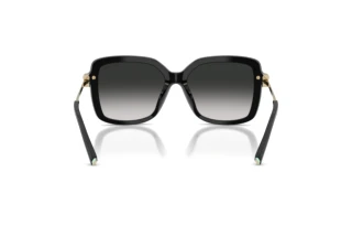 Rear view Tiffany TF4252B (80013C)
