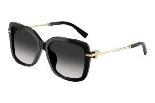 Front view Tiffany TF4252B (80013C)