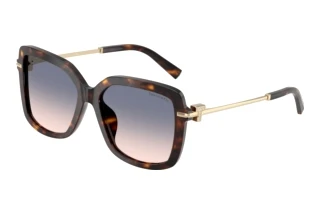 Front view Tiffany TF4252B (801516)