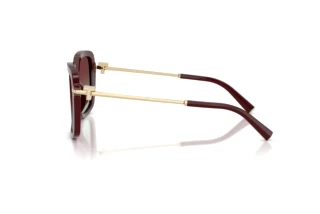 Side view Tiffany TF4252B (8389V5)