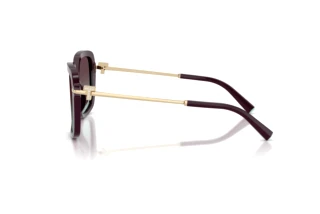 Side view Tiffany TF4252B (8427V7)