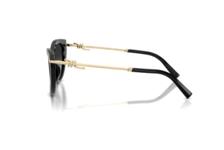 Side view Tiffany TF4253 (80013C)