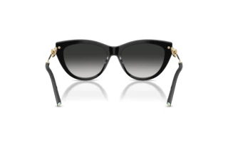 Rear view Tiffany TF4253 (80013C)
