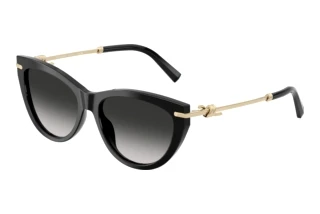 Front view Tiffany TF4253 (80013C)