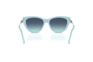 Rear view Tiffany TF4253 (80559S)