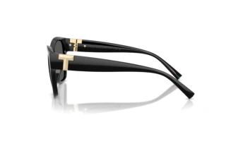 Side view Tiffany TF4254U (8001S4)
