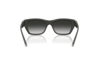 Rear view Tiffany TF4255U (84463C)
