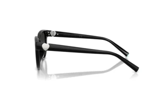 Side view Tiffany TF4256D (80013C)