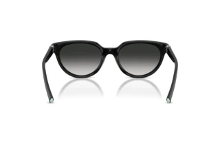 Rear view Tiffany TF4256D (80013C)