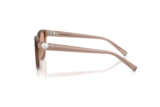 Side view Tiffany TF4256D (844973)