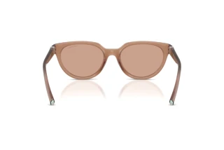 Rear view Tiffany TF4256D (844973)