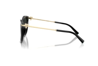 Side view Tiffany TF4258BU (80013C)