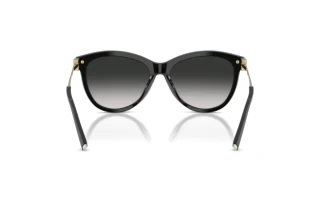 Rear view Tiffany TF4258BU (80013C)
