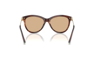 Rear view Tiffany TF4258BU (8421/8)