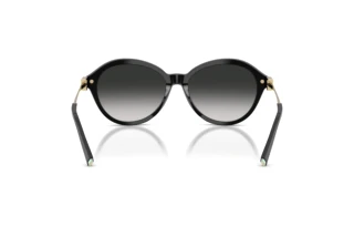 Rear view Tiffany TF4259 (80013C)