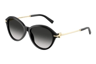 Front view Tiffany TF4259 (80013C)