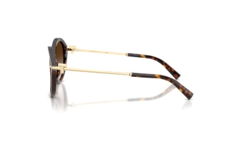 Side view Tiffany TF4259 (80153B)
