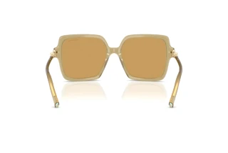 Rear view Tiffany TF4260U (846173)