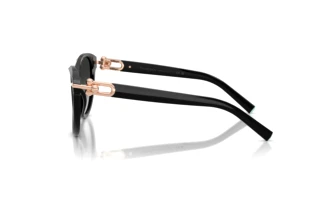 Side view Tiffany TF4261 (80013C)
