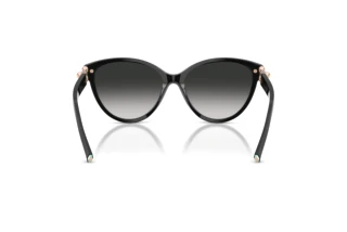 Rear view Tiffany TF4261 (80013C)